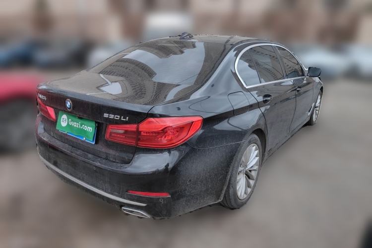 Used BMW 5 Series 2020 530Li Luxury Edition Premium Package Rear Right 45 Deg