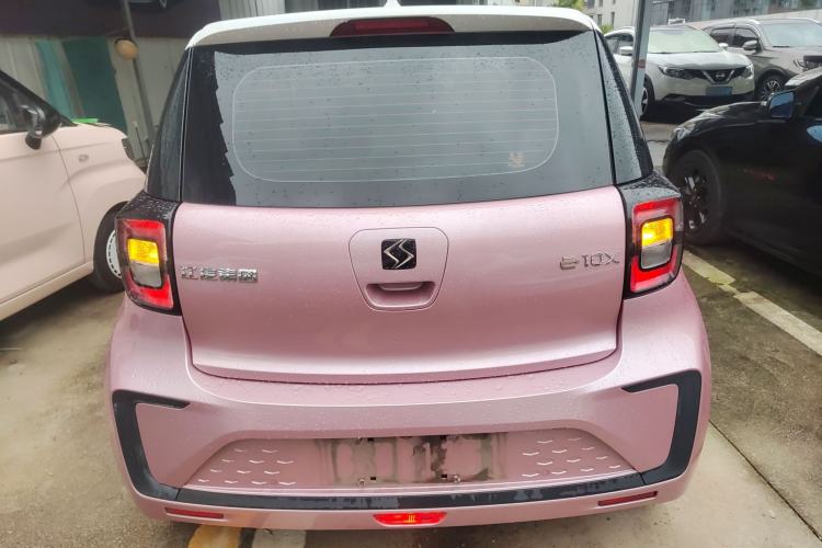 Used SOL E10X 2022 Flower Fairy Design Four-Leaf Clover
