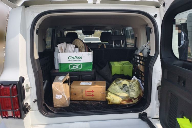 Used Tank 300 2024 2.0T Conqueror
