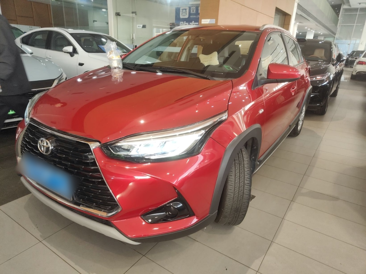 تحت مقدمة السيارة