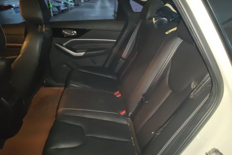 Used Venucia D60 2021 PLUS 1.6L XL CVT Yue Ling Edition Left Rear Seat