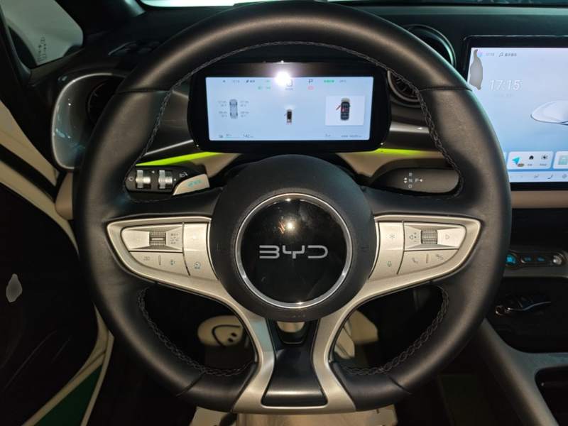Used BYD Dolphin 2025 Intelligent Driving Version 410 km Fashion Edition — 10