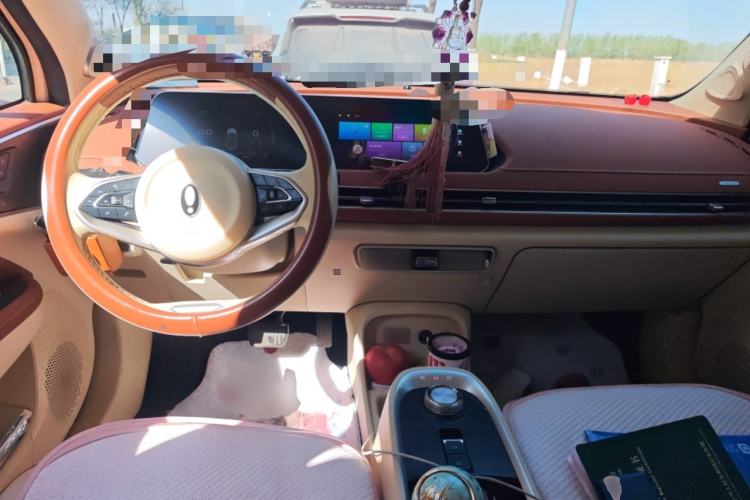 Used ORA Good Cat 2022 400km Standard Range Premium Version Lithium-Ion Battery
