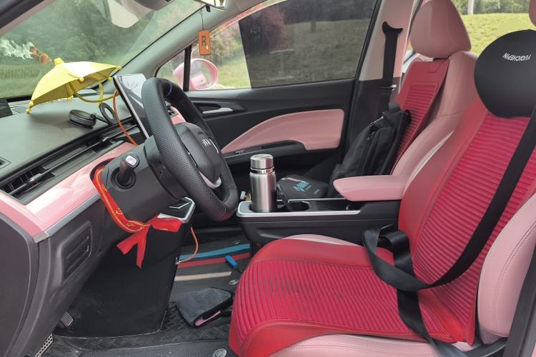 Used NETA V 2022 Chao 400 Lite Pink Custom Edition Left Front Seat