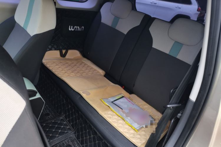 Used Qiyuan Lumin 2022 210km Sweet Edition
