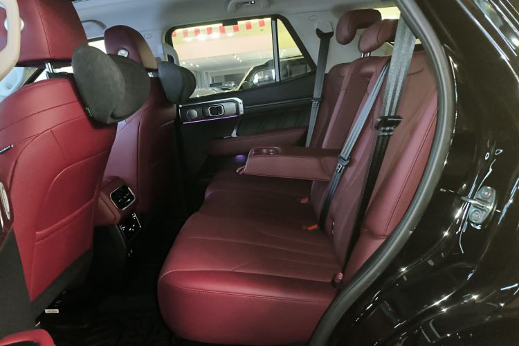 Used Tank 400 New Energy 2024 Hi4-T City Edition Left Rear Seat