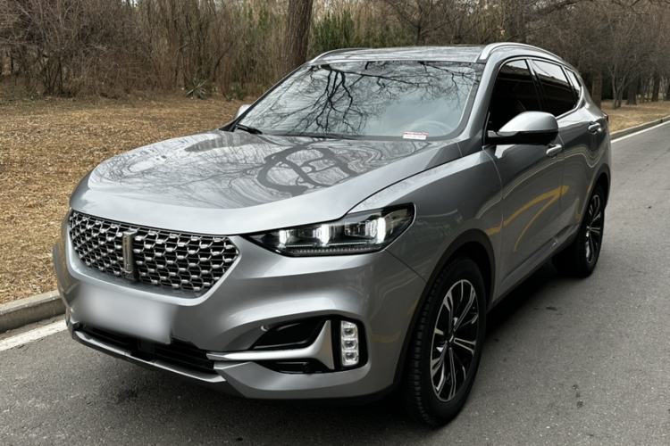 Used Wey VV6 2021 2.0T Two-Wheel Drive Smart Plus