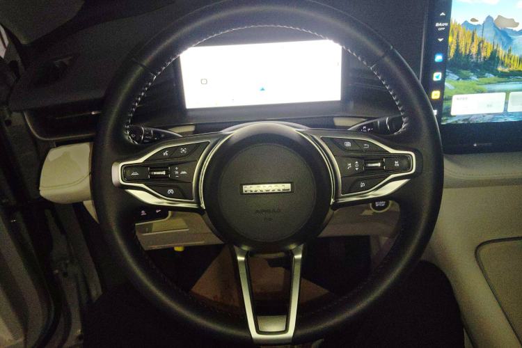 Used Haval H6 2024 2.0T All-Wheel Drive Max
