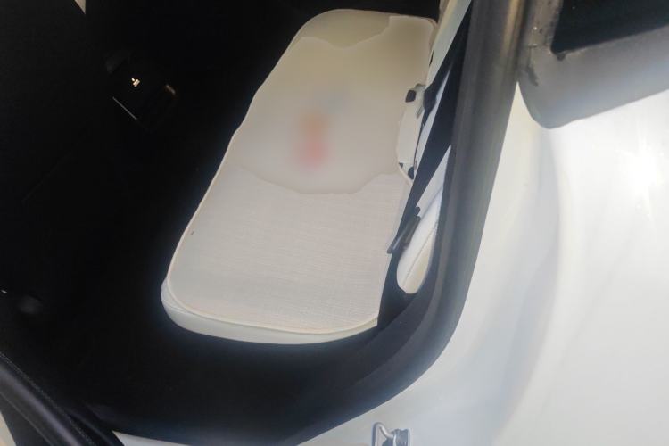 Used Tesla Model Y 2025 Rear-Wheel-Drive Version Left Rear Seat