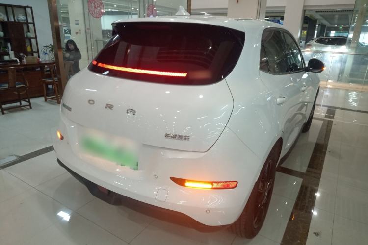 Used ORA Good Cat 2024 401 km Luxury Version