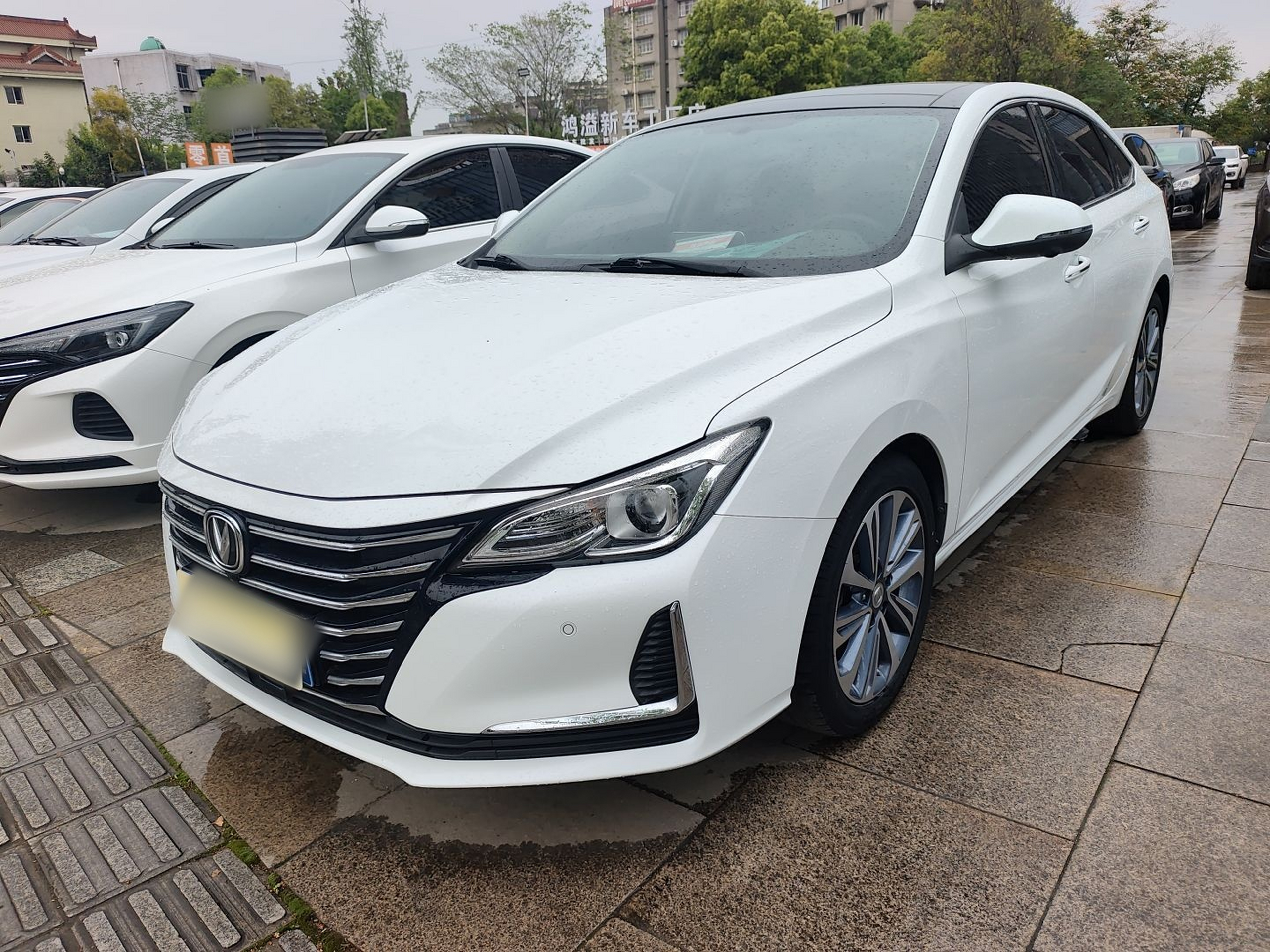 Parte inferior delantera