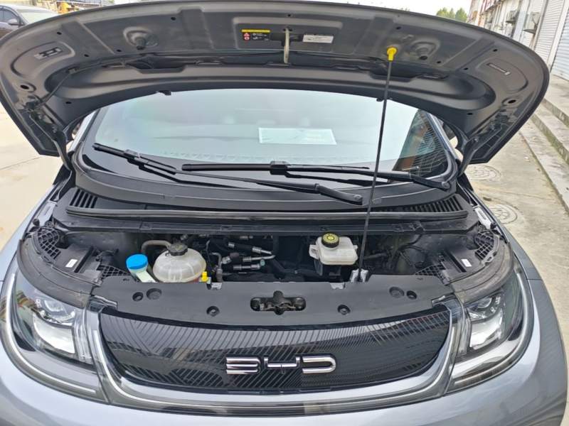 Used BYD Dolphin 2024 Honor Edition 420km Freedom Version — 19