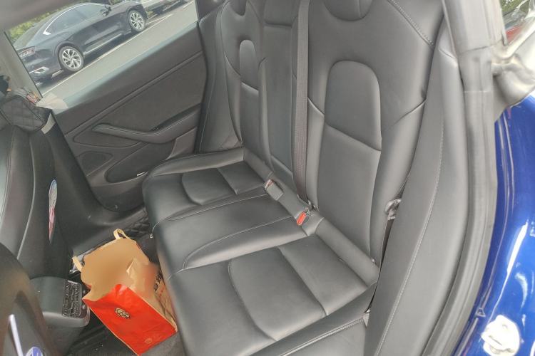 Used Tesla Model 3 2019 Long-Range Rear-Wheel-Drive Version Left Rear Seat