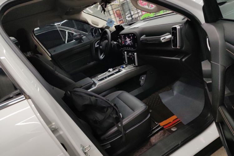 Used Haval DARGO 2024 2.0T DCT Chinese Rural Dog Edition