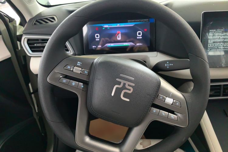 Used BYD Yuan UP 2025 Model 301KM Leading Version