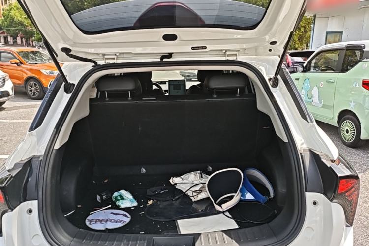 Used NETA V 2021 Long-Range Entertainment Edition Upgrade Model
