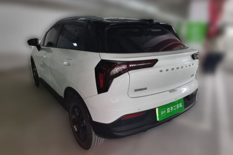 Used Geometry E Firefly 2022 401 km Linglong Tiger 4 Seats Rear Left 45 Deg