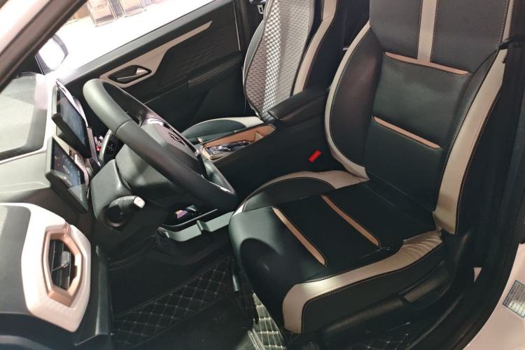 Used SOL E10X 2022 Flower Fairy Style Baby's Breath