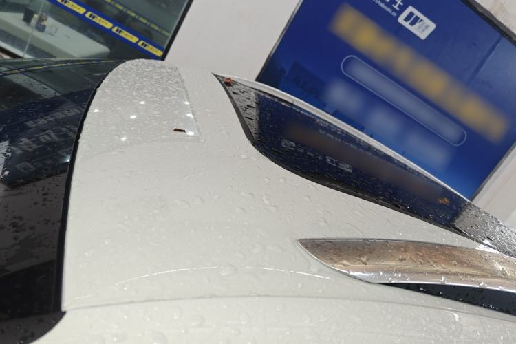 Used Volkswagen Tiguan L 2024 PRO 330TSI Two-Wheel Drive R-Line Smart Edition Roof