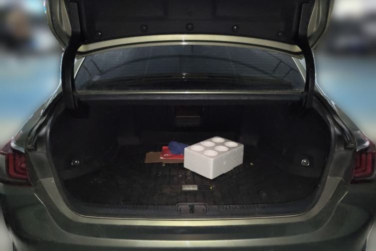 Used Lexus ES 2020 200 Excellence Edition Trunk