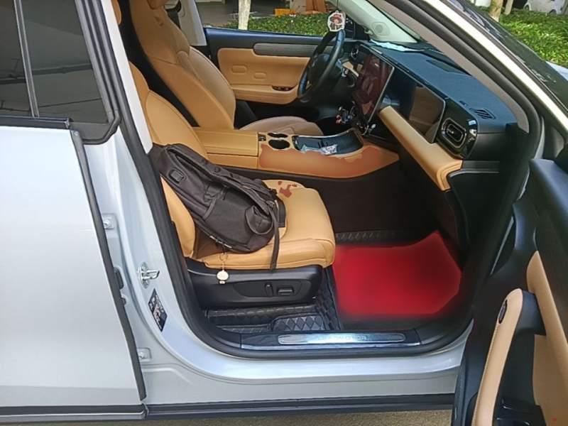 Used Leapmotor C11 2024 All-Electric 580 Luxury Edition — 24