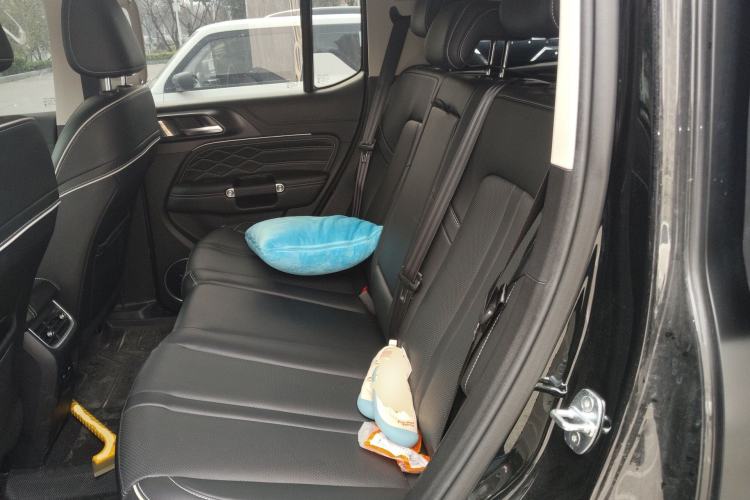 Used Tank 300 New Energy 2024 Hi4-T Left Rear Seat