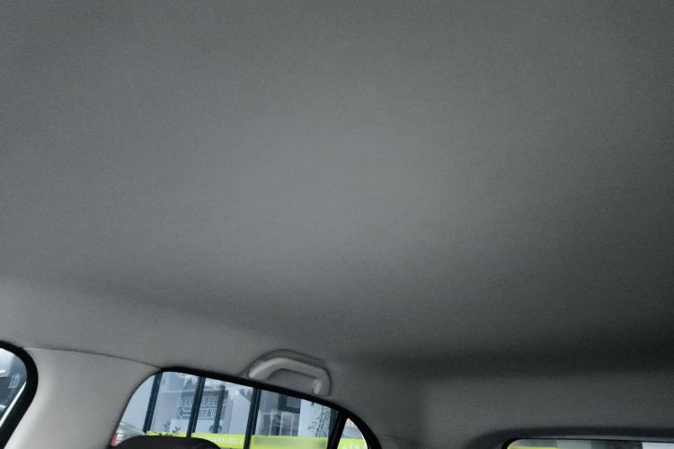 Used Dayun Yuehu 2022 30.66 kWh Two-Wheel Drive Standard Version
