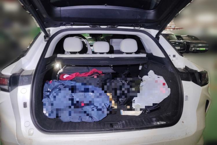 Used EXEED Stellar C-DM 2024 1.5T Extended-Range Pro Trunk