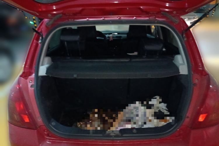 Used Suzuki Swift 2008 1.5L Automatic – Ultra-Stylish Xuanrui Edition