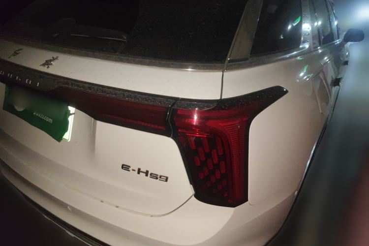 Used Hongqi E-HS9 2021 510 km Range Flagway Edition Six Seats Rear Right 45 Deg