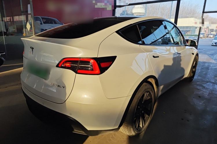 Used Tesla Model Y 2021 Standard Range Rear-Wheel Drive Version
