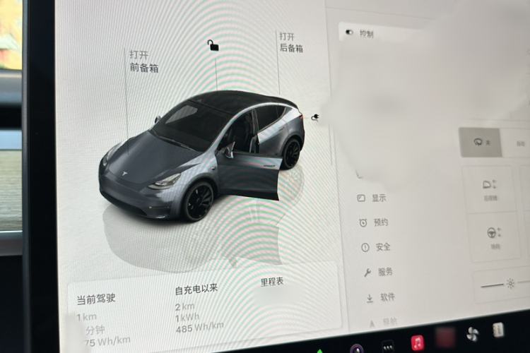 Used Tesla Model Y 2022 Performance High-Performance All-Wheel-Drive Version