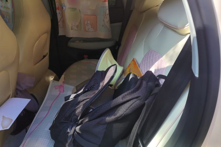 Used Leapmotor T03 2022 Star Diamond Edition Left Rear Seat