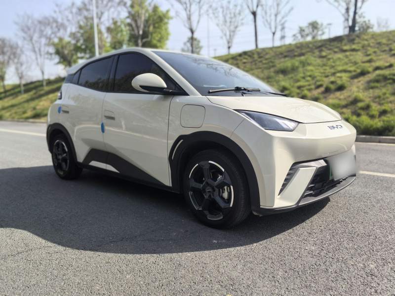 Used BYD Seagull 2023 Free Edition — 32