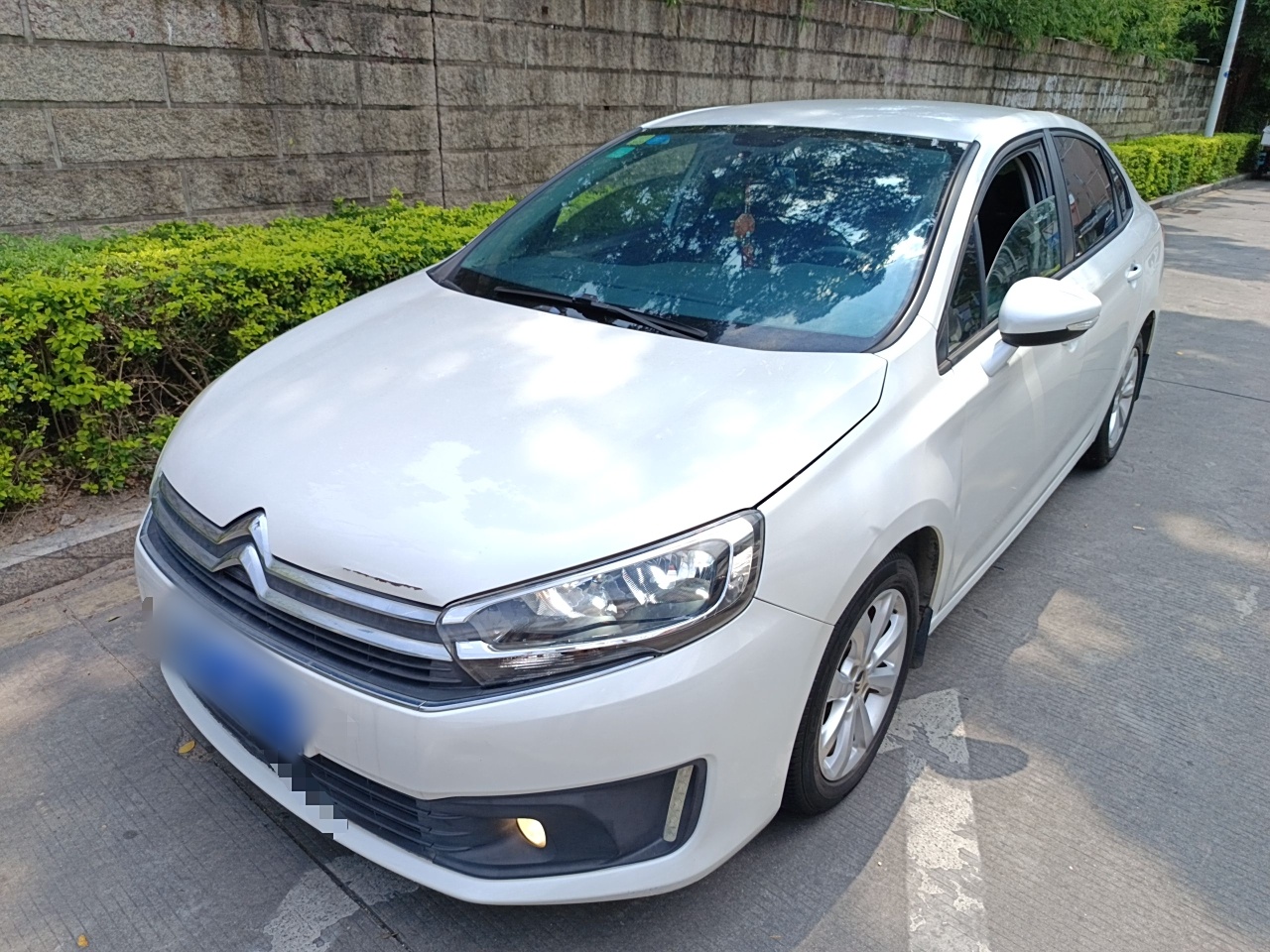 تحت مقدمة السيارة