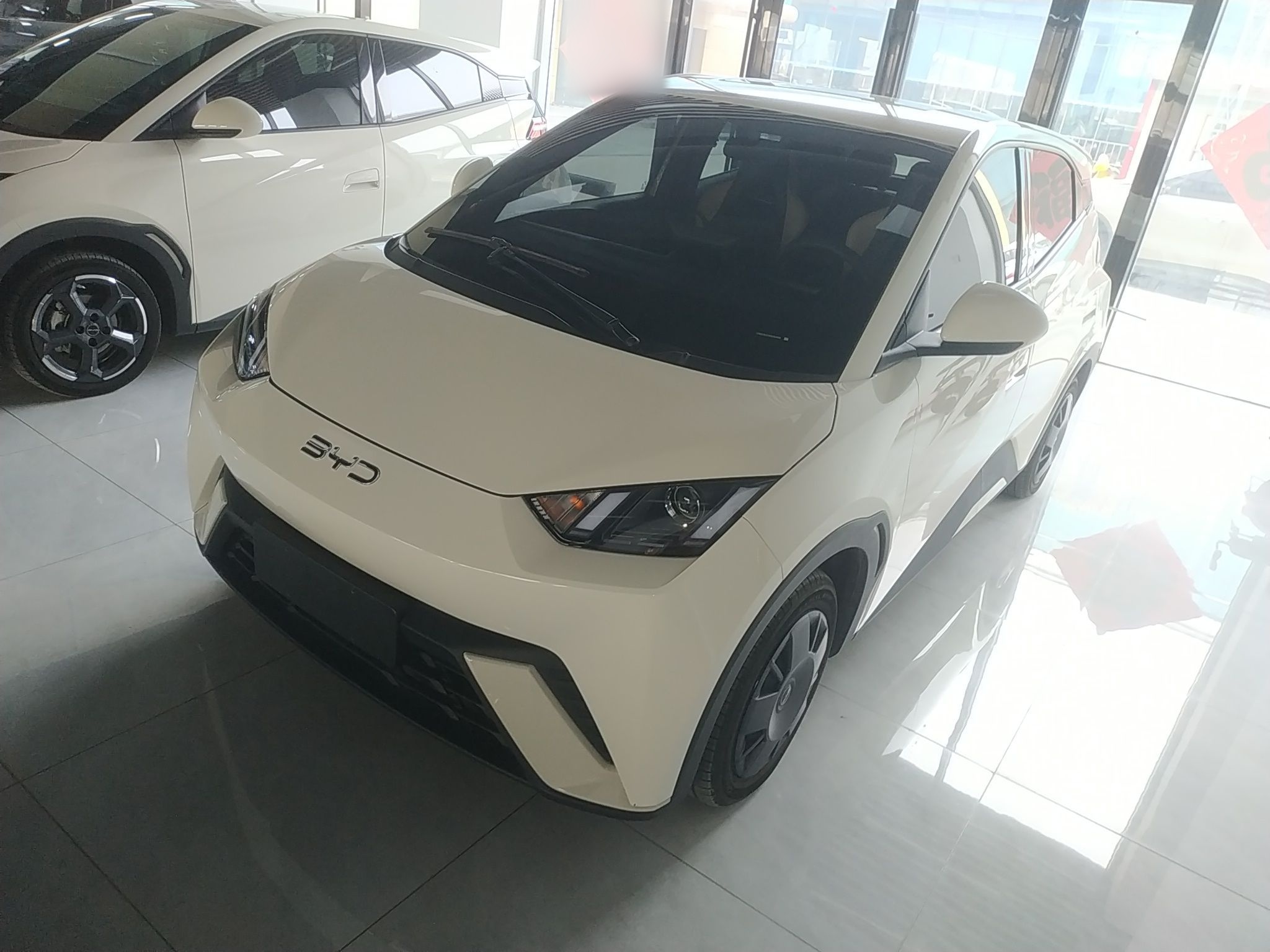 Parte inferior delantera