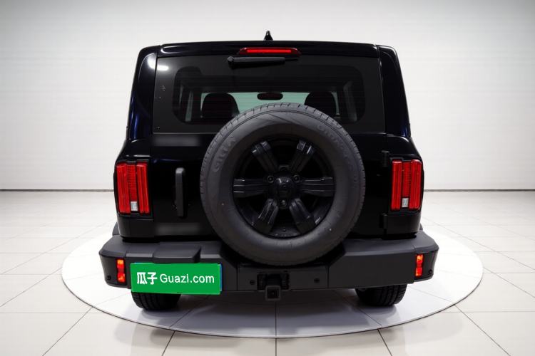 Used Tank 300 2025 2.4T Diesel Version