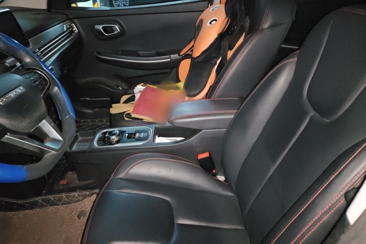 Used Dayun Yuehu 2021 32.85 kWh Two-Wheel-Drive Sprite Version Left Front Seat