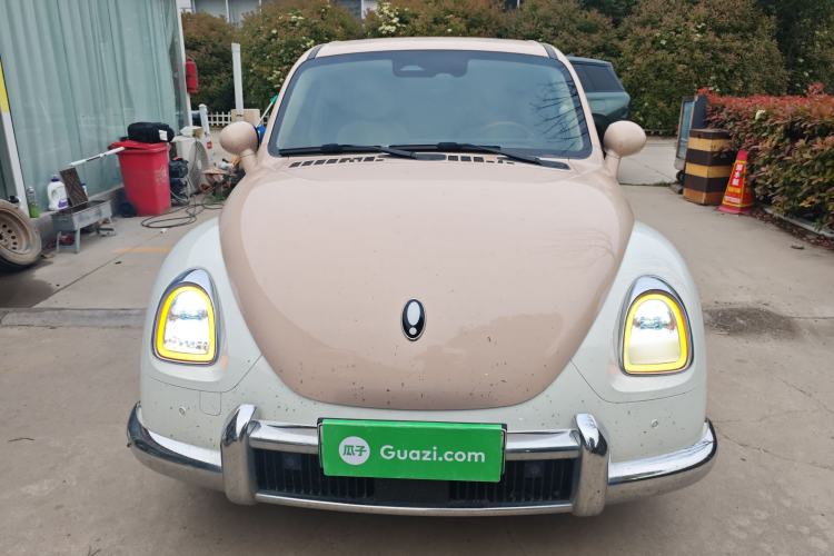 Used ORA Ballet Cat 2023 401 km Luxury Version Front