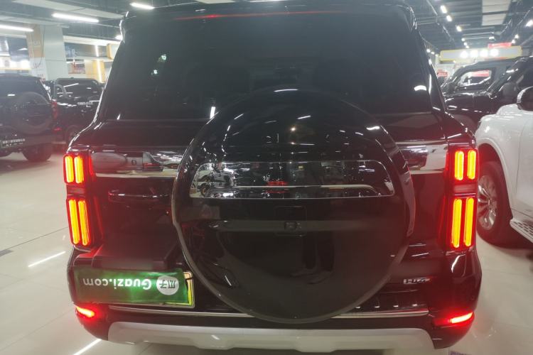 Used Tank 500 New Energy 2024 Hi4-T Rear