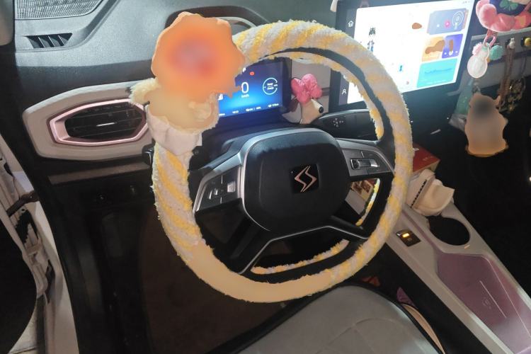 Used SOL E10X 2022 Flower Fairy Design Sunflower
