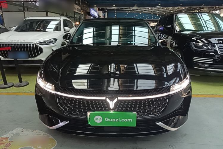 Used VOYAH PASSION 2024 PHEV Four-Wheel Drive Ultra-Long Range Executive Edition