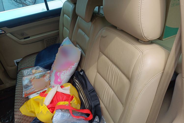 Used Volkswagen Touran 2008 1.8T ZhiZun Edition Automatic 5-Seater Left Rear Seat