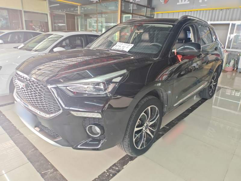Used Haval H6 Coupe 2018 Red-Label 1.5T Automatic Two-Wheel Drive Ultra-Luxury Model — 1
