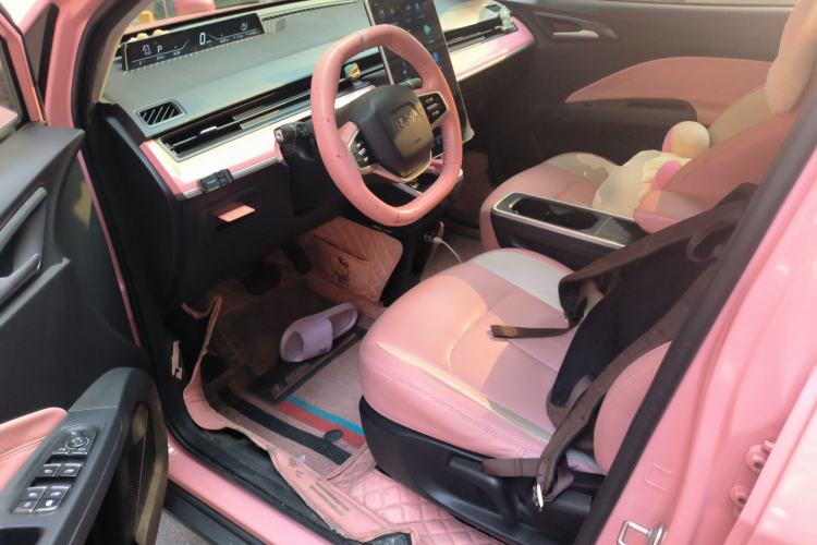 Used NETA V 2021 Witch Edition