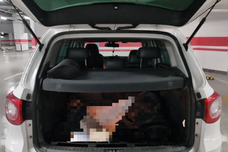 Used Volkswagen Tiguan 2010 2.0 TSI Automatic All-Wheel Drive Flagship Edition
