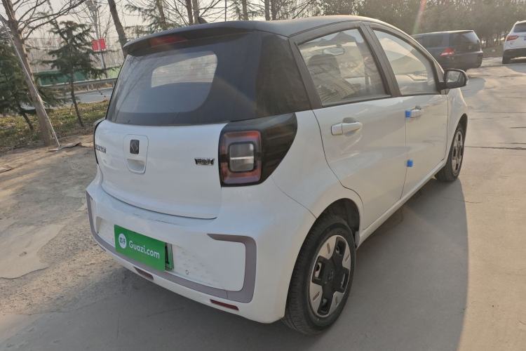 Used SOL E10X 2022 Flower Fairy Design Dandelion