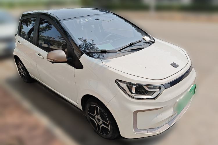 Used SOL E10X 2022 Flower Fairy Design Four-Leaf Clover