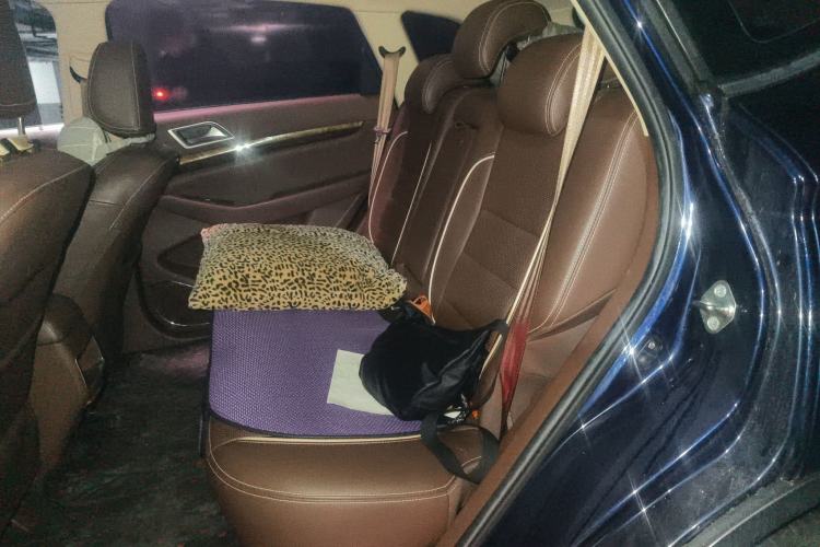 Used Leopaard CS10 2017 2.0T Automatic Urban Version