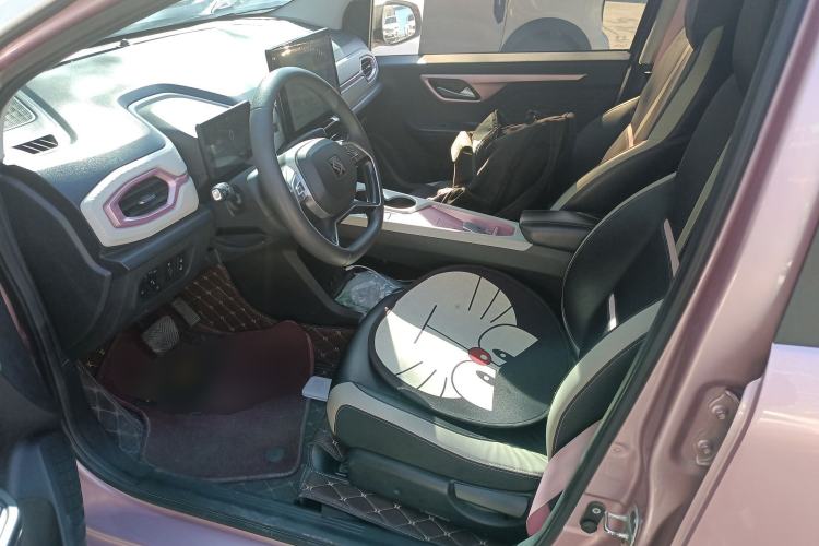 Used SOL E10X 2022 Flower Fairy Design Four-Leaf Clover Left Front Seat